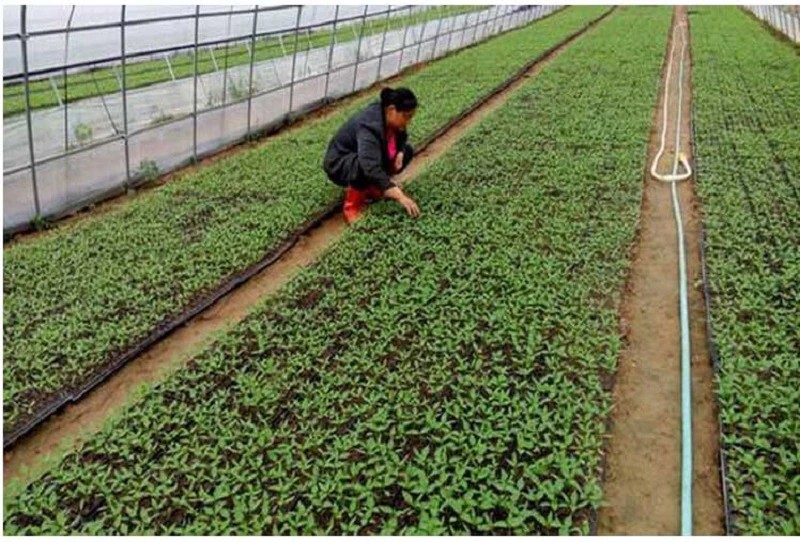 TB2bqnOXBzA11Bjy0FbXXcRXVXa_!!1071273746