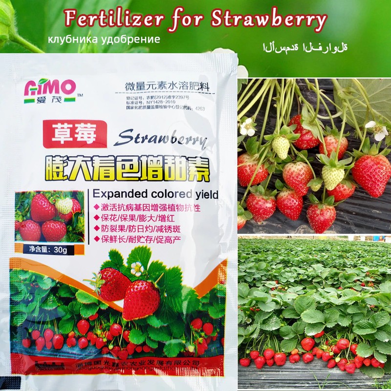 草莓肥料主图 (5)