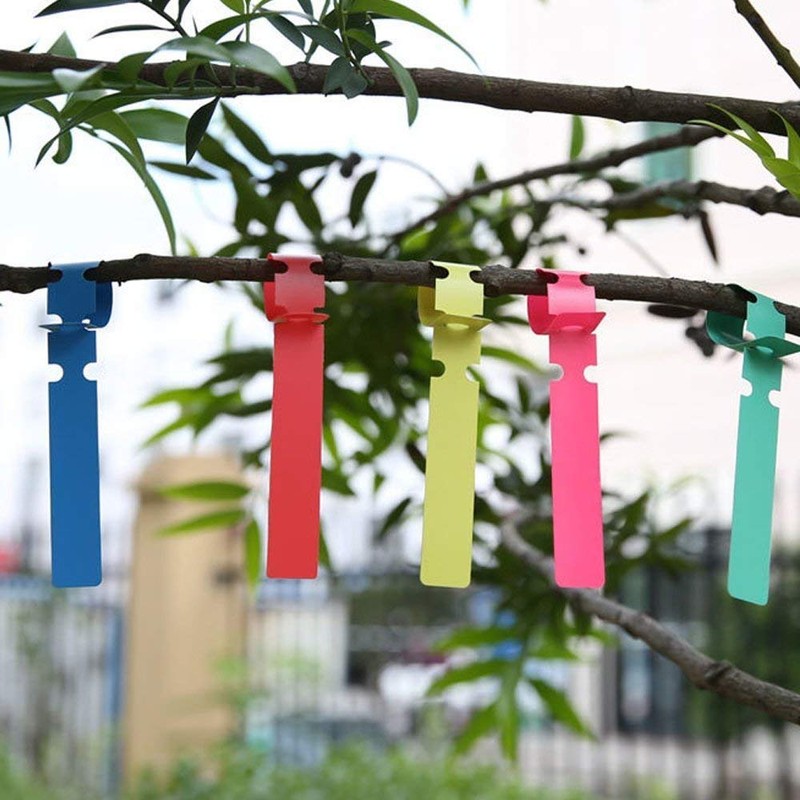 61yQhKJw2uL._SL1000_