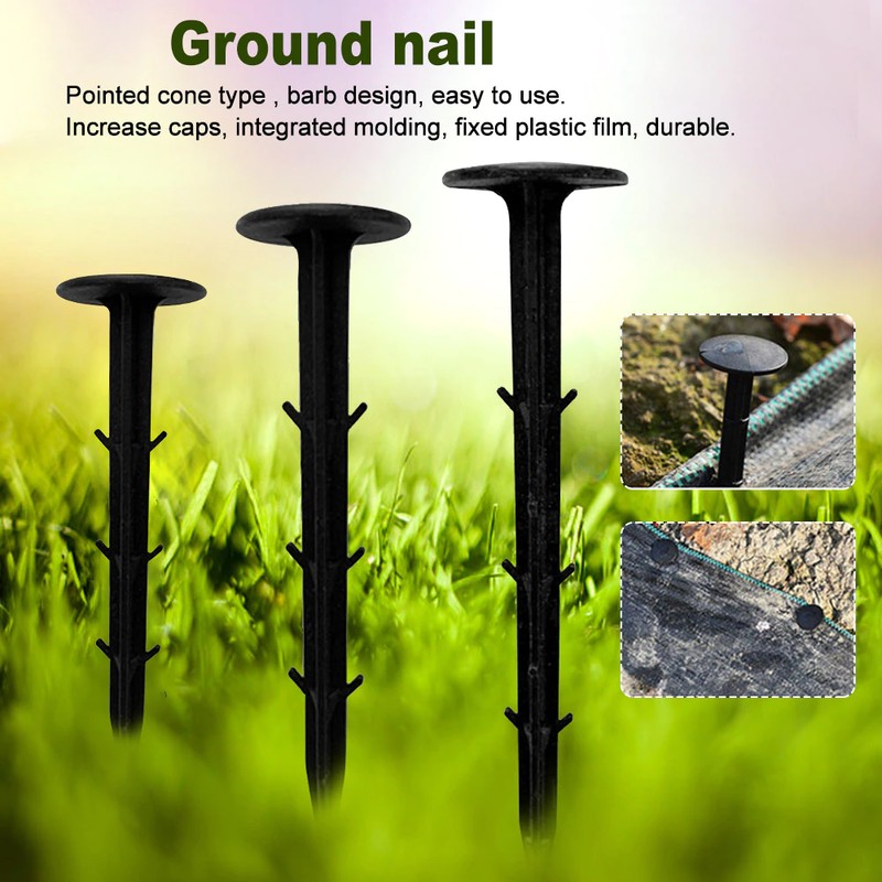 aeProduct.getSubject() aeProduct.getSubject()