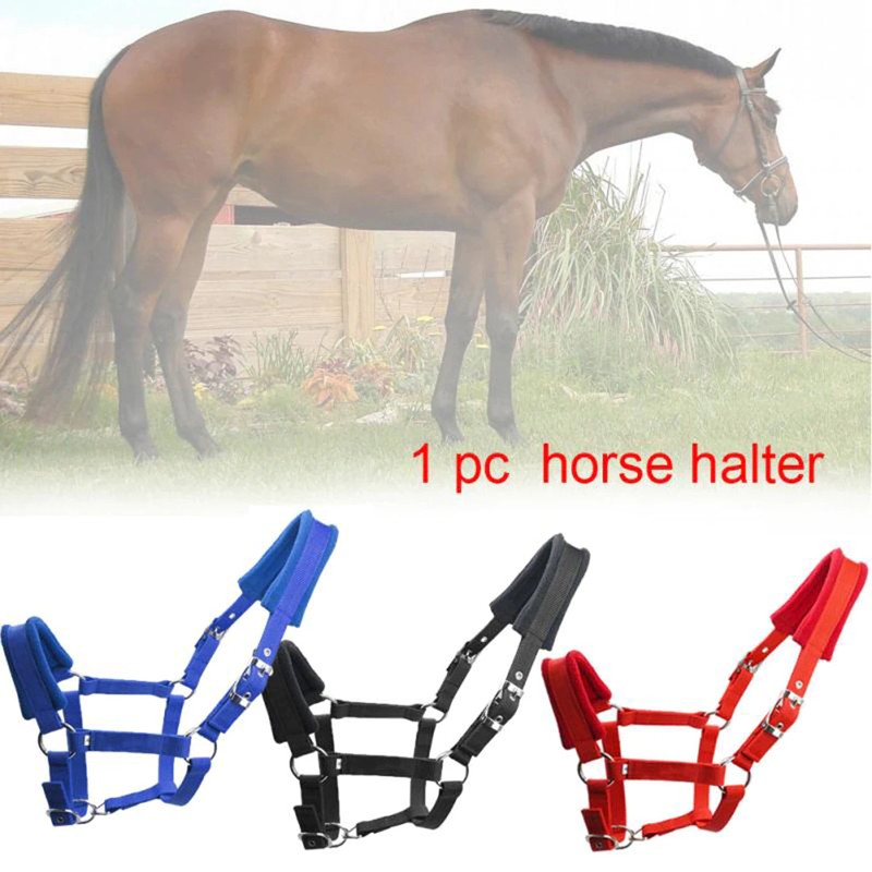 Soft Padded Pony Horse Halter Bridle Headstall Head Collar Horse Riding Stable