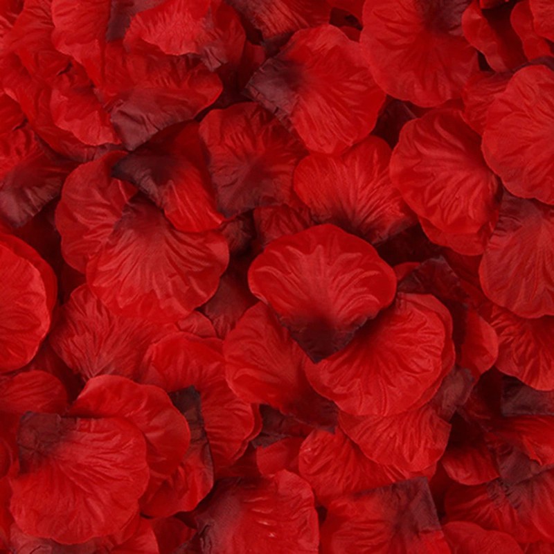 298245_no-logo_298245-2-05