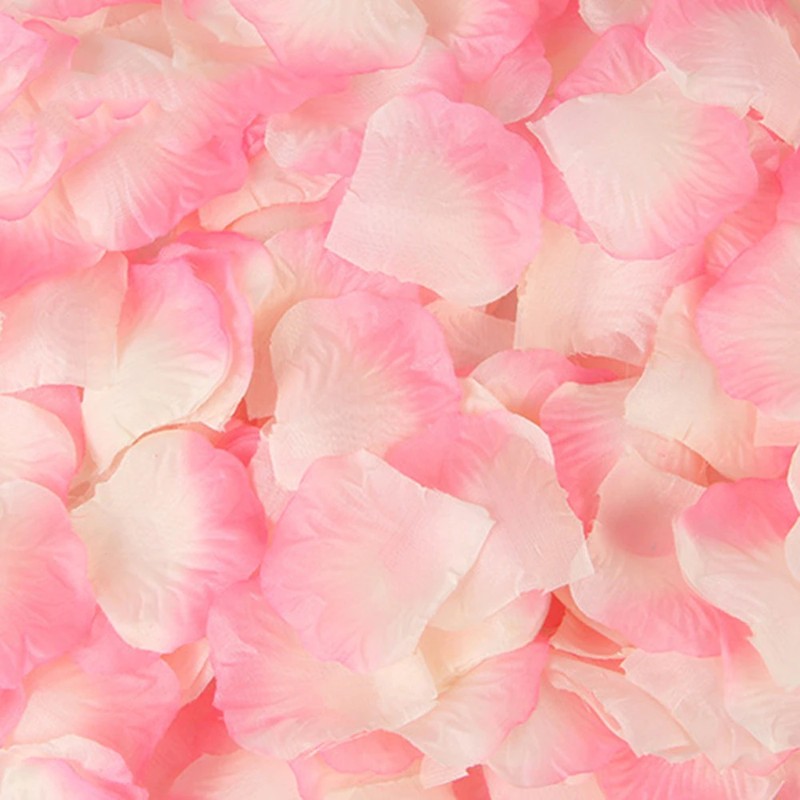 298245_no-logo_298245-2-02